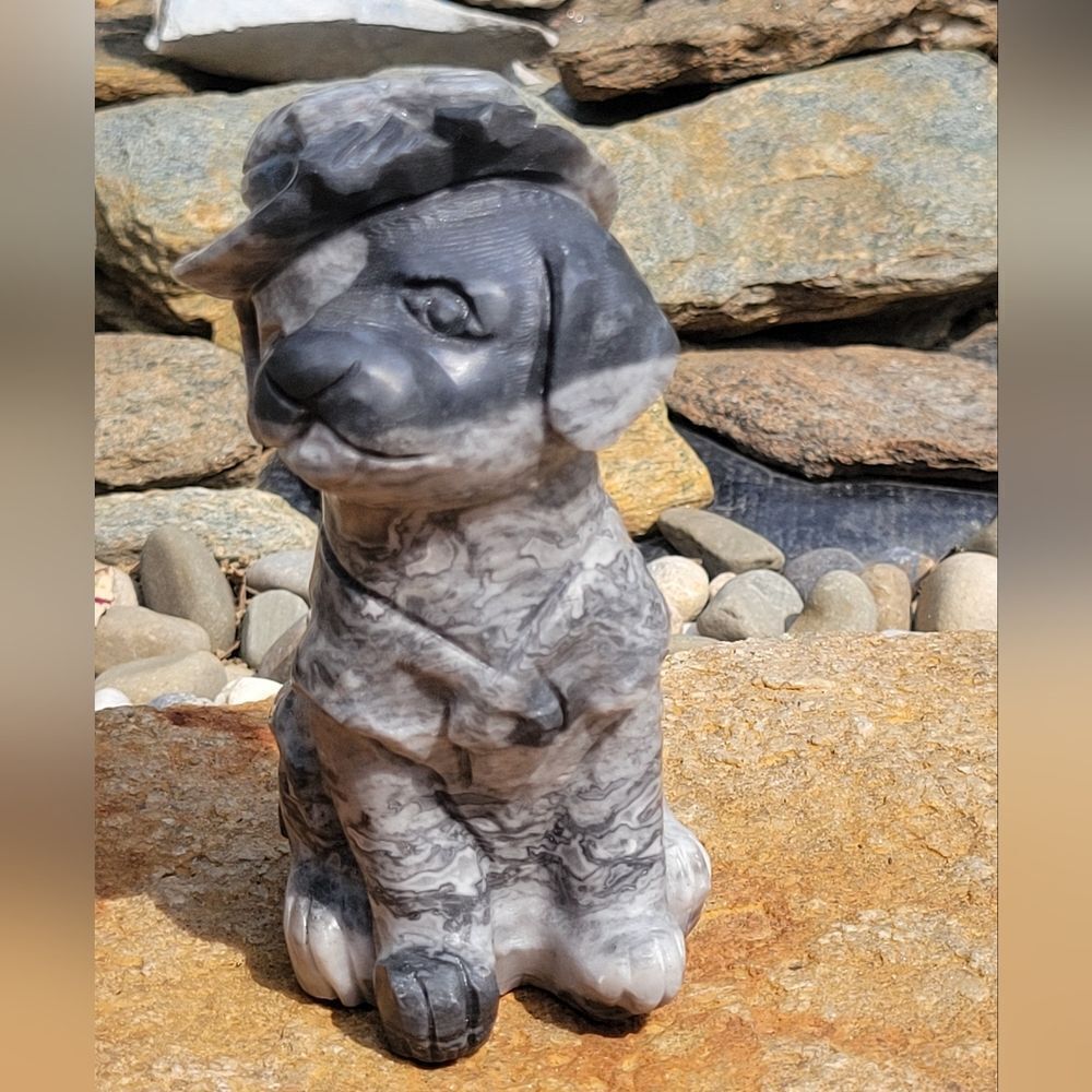 Picasso Dogโ - Picture 2 of 11